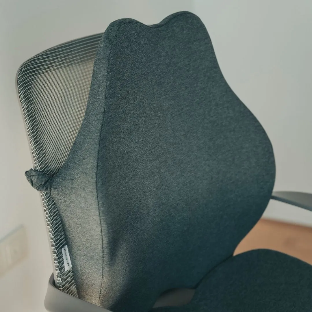 ANEW Ergonomic Back Cushion