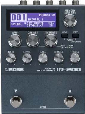 Boss IR-200  Amp and IR Cabinet