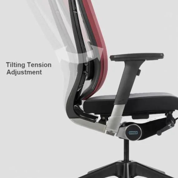 Bravo Ergonomic Computer Chair