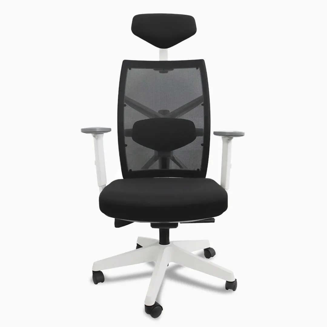 Desky Elite Ergonomic Chair