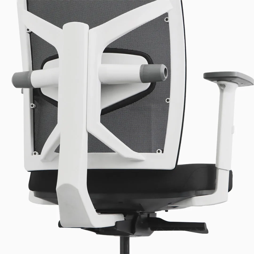 Desky Elite Ergonomic Chair