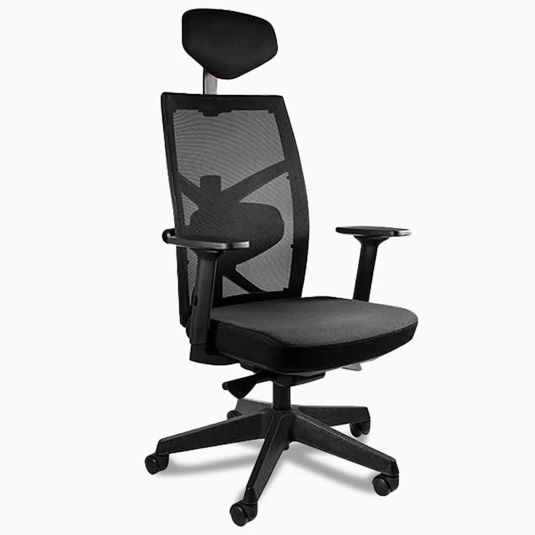 Desky Elite Ergonomic Chair