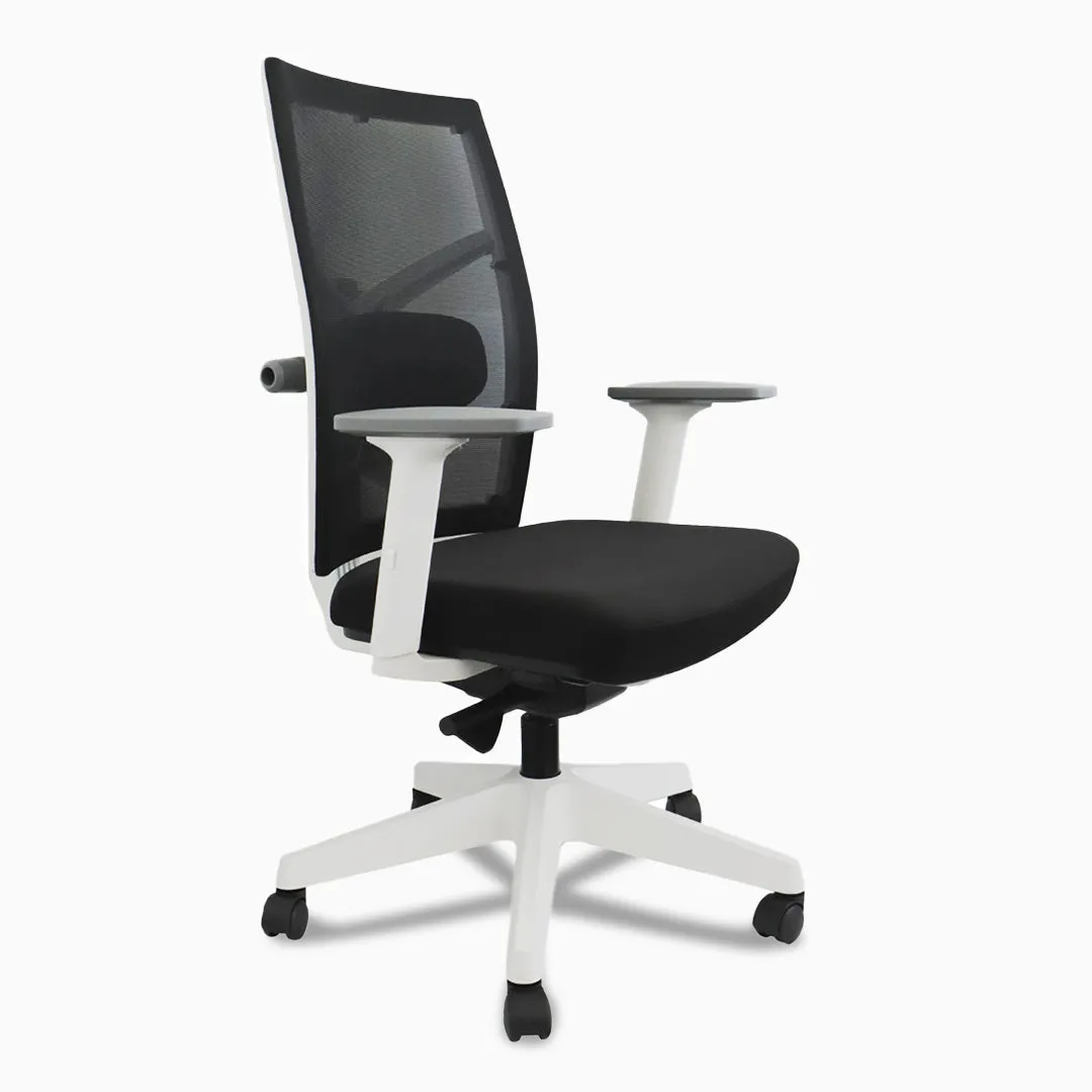 Desky Elite Ergonomic Chair