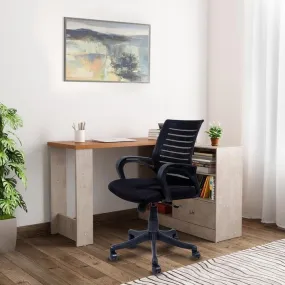 ELERA ERGONOMIC OFFICE CHAIR