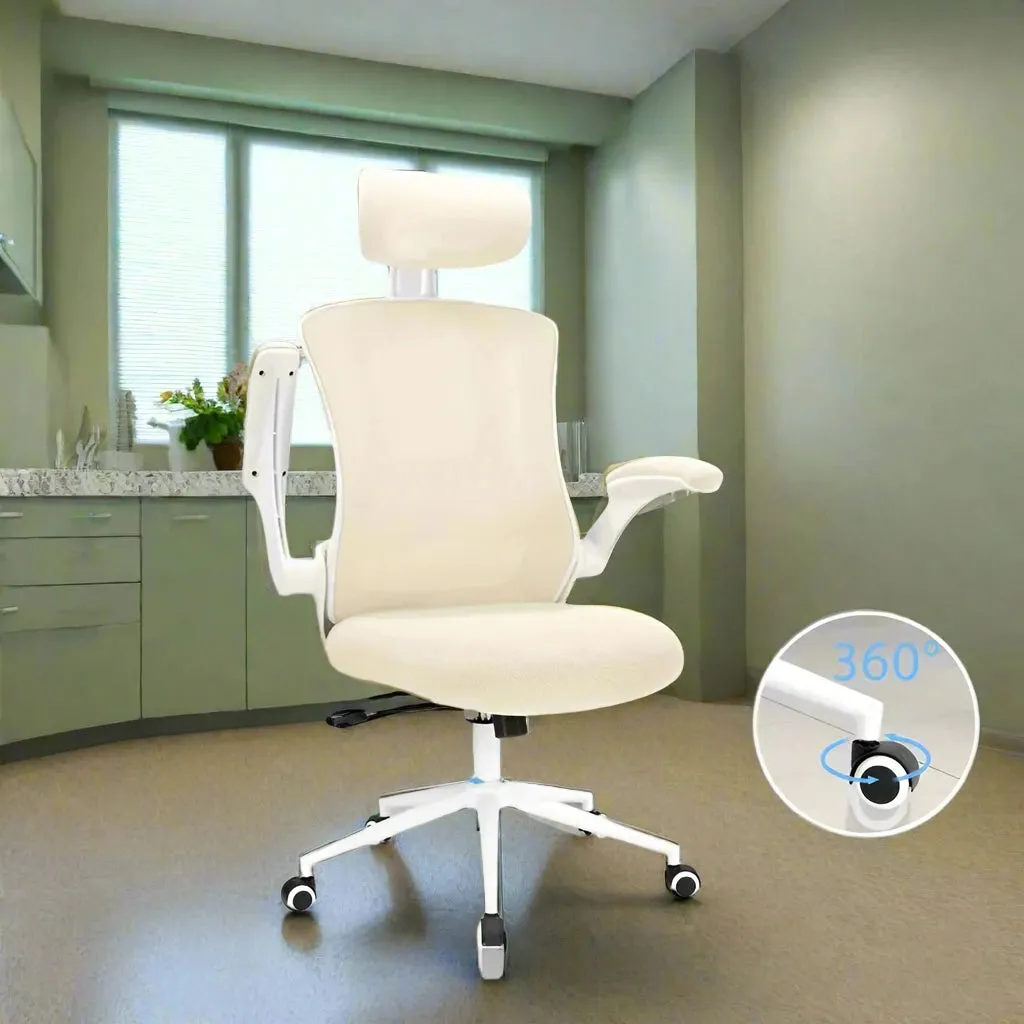 Ergonomic Office Chair