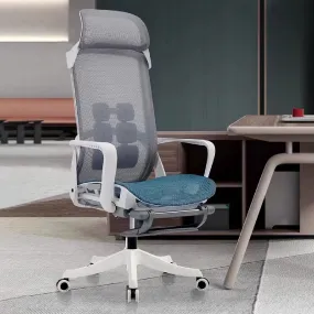 Ergonomic Reclinable Computer Chair Lunch Chair