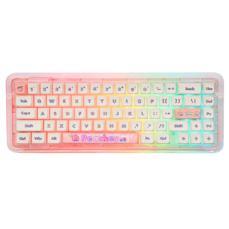 FirstBlood B67 Transparent Mechanical Keyboard