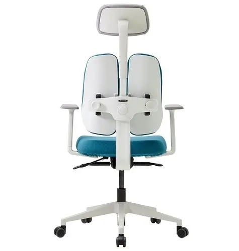 Gold Renewal Ergonomic Chair, White Frame