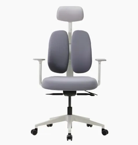 Gold Renewal Ergonomic Chair, White Frame