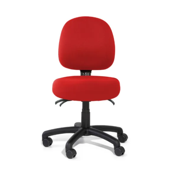 Gregory Inca Medium Back Small Seat Chair