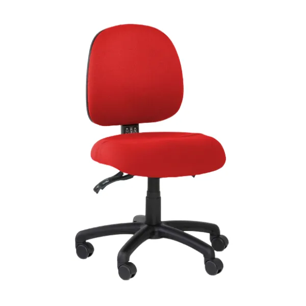 Gregory Inca Medium Back Small Seat Chair