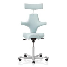 HAG Capisco 8107 Ergonomic Office Chair