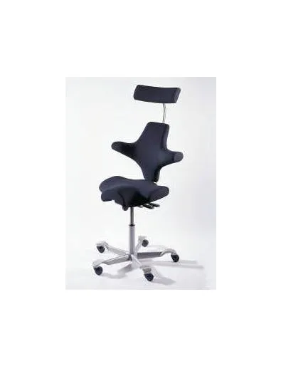 HAG Capisco 8107 Ergonomic Office Chair