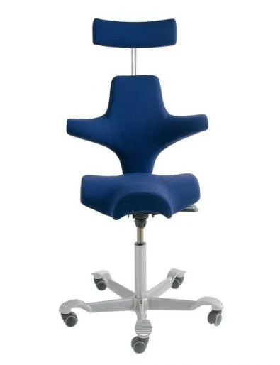 HAG Capisco 8107 Ergonomic Office Chair