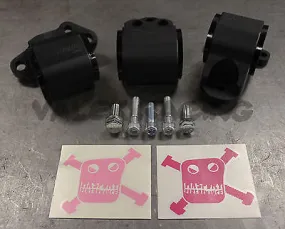 Hasport Engine Motor Mounts 94-01 Acura Integra DCSTK - Satin Black Powder Coated