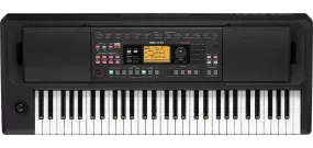 Korg EK-50 Limitless 61-key Arranger Keyboard