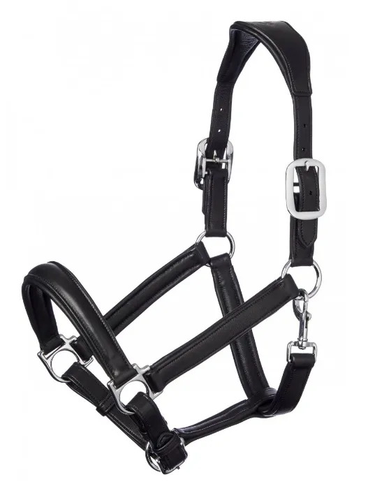 LeMieux Anatomic Halter