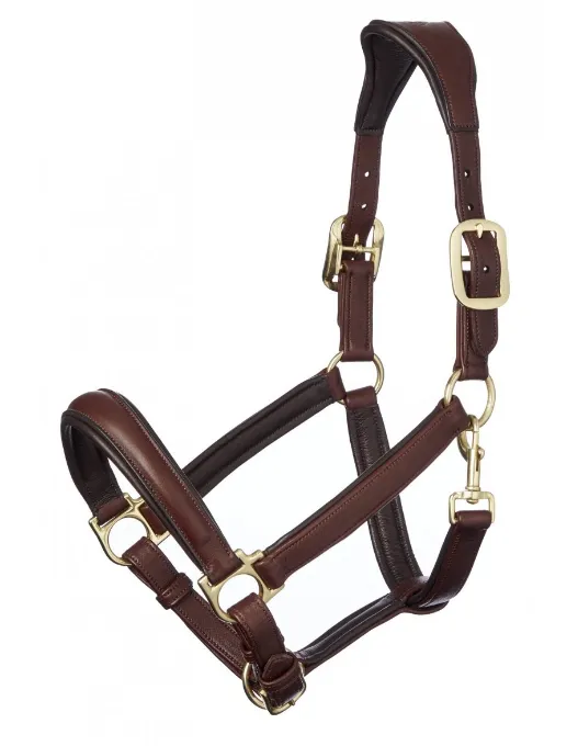 LeMieux Anatomic Halter