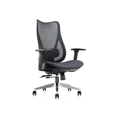 Mala Ergonomic Chair