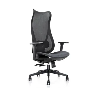 Mala Ergonomic Chair