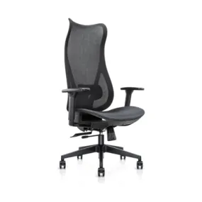 Mala Ergonomic Chair