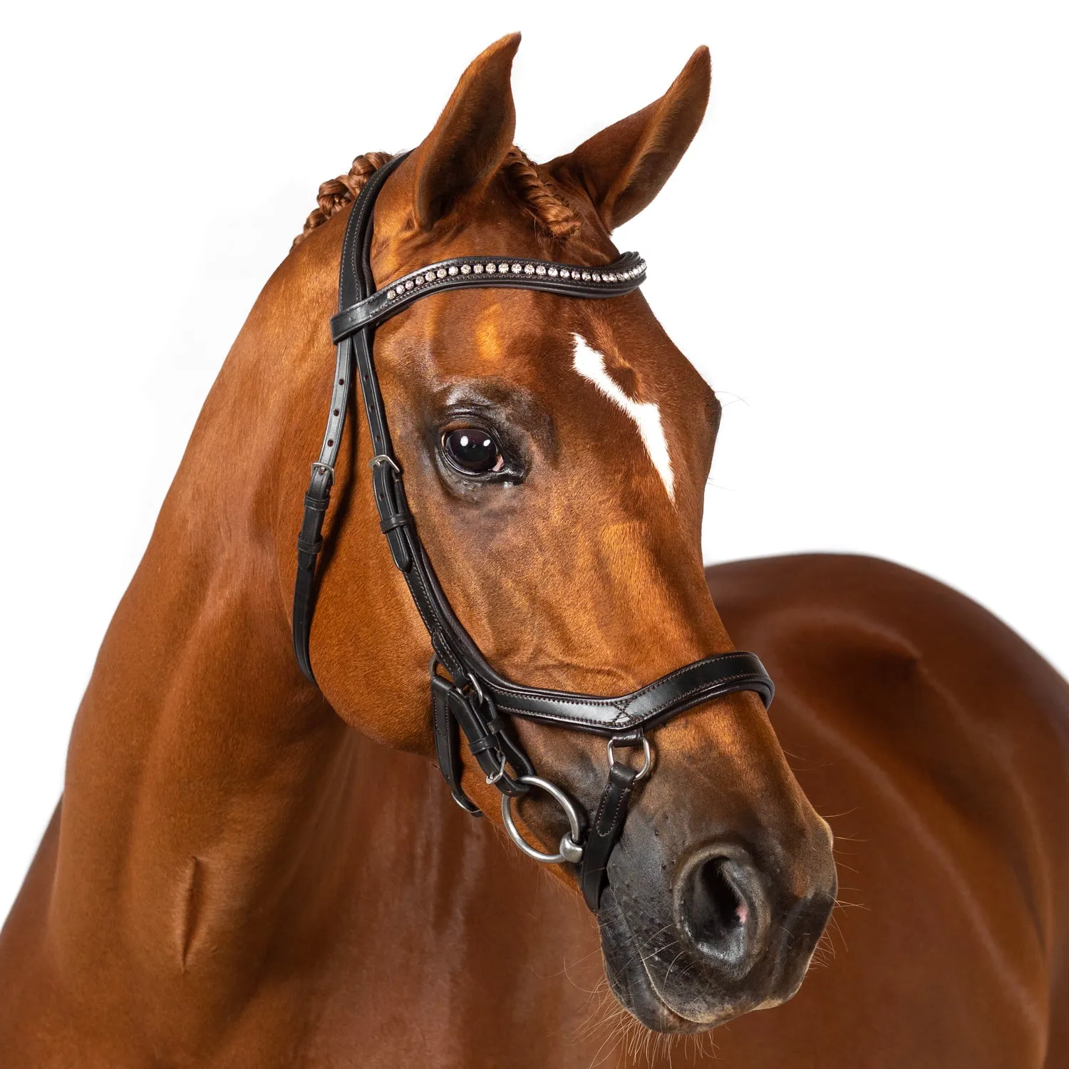 Mix & Match Custom Bridle - Havana Ergonomic Bridle