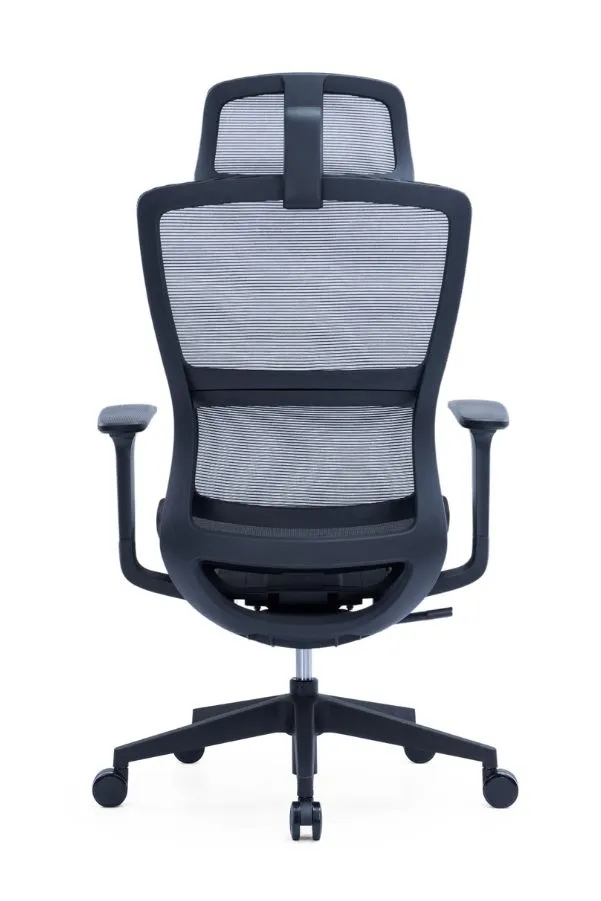 Modern Sleek Mesh Office Chair with 3D Armrests, Headrest and Four-Position Lock  for Home or Office