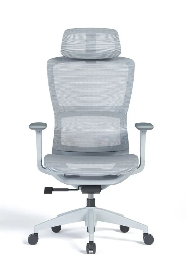 Modern Sleek Mesh Office Chair with 3D Armrests, Headrest and Four-Position Lock  for Home or Office