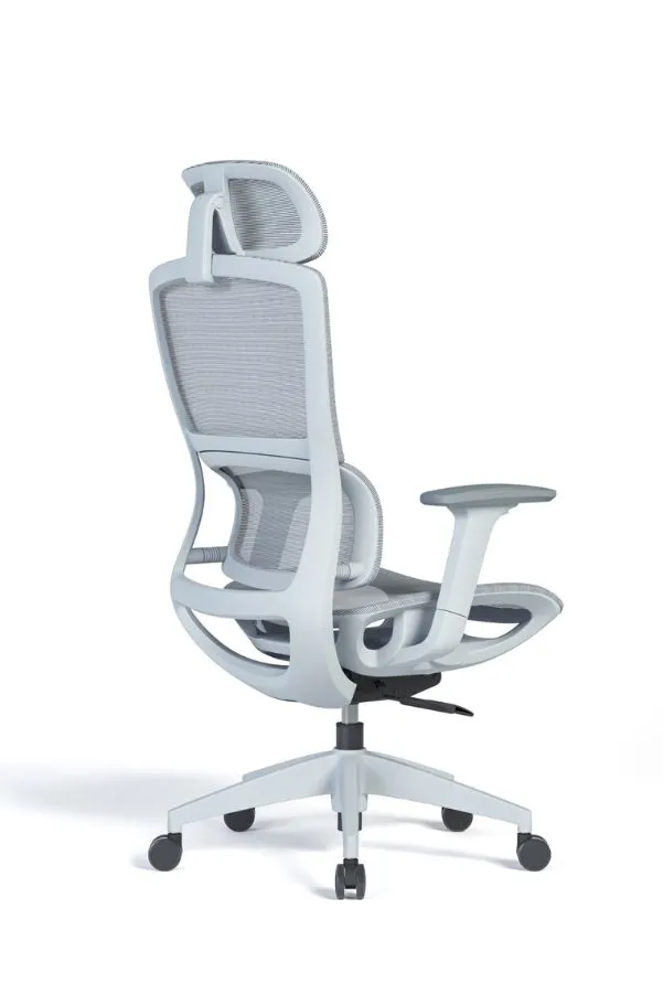 Modern Sleek Mesh Office Chair with 3D Armrests, Headrest and Four-Position Lock  for Home or Office