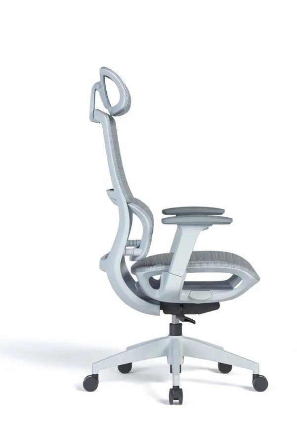 Modern Sleek Mesh Office Chair with 3D Armrests, Headrest and Four-Position Lock  for Home or Office