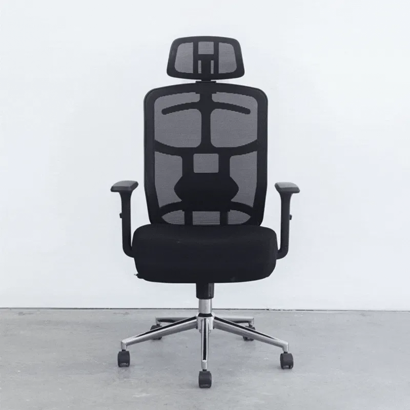 Motion SkyMesh Ergonomic Office Chair