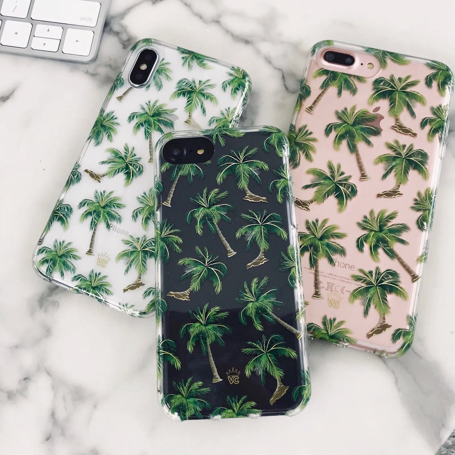 Palm Springs iPhone Case