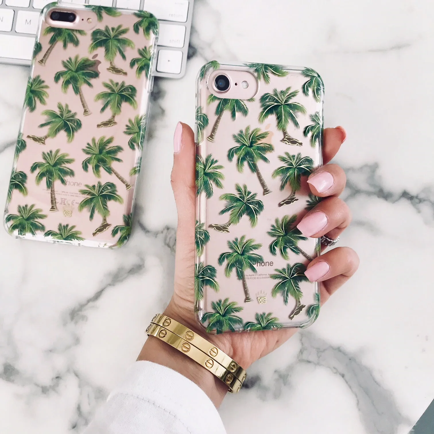 Palm Springs iPhone Case