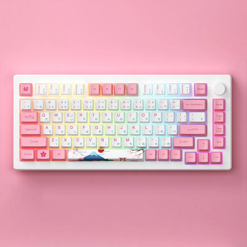 Pre-Order Akko MOD007B-HE PC Magnetic Switch Mechanical Keyboard