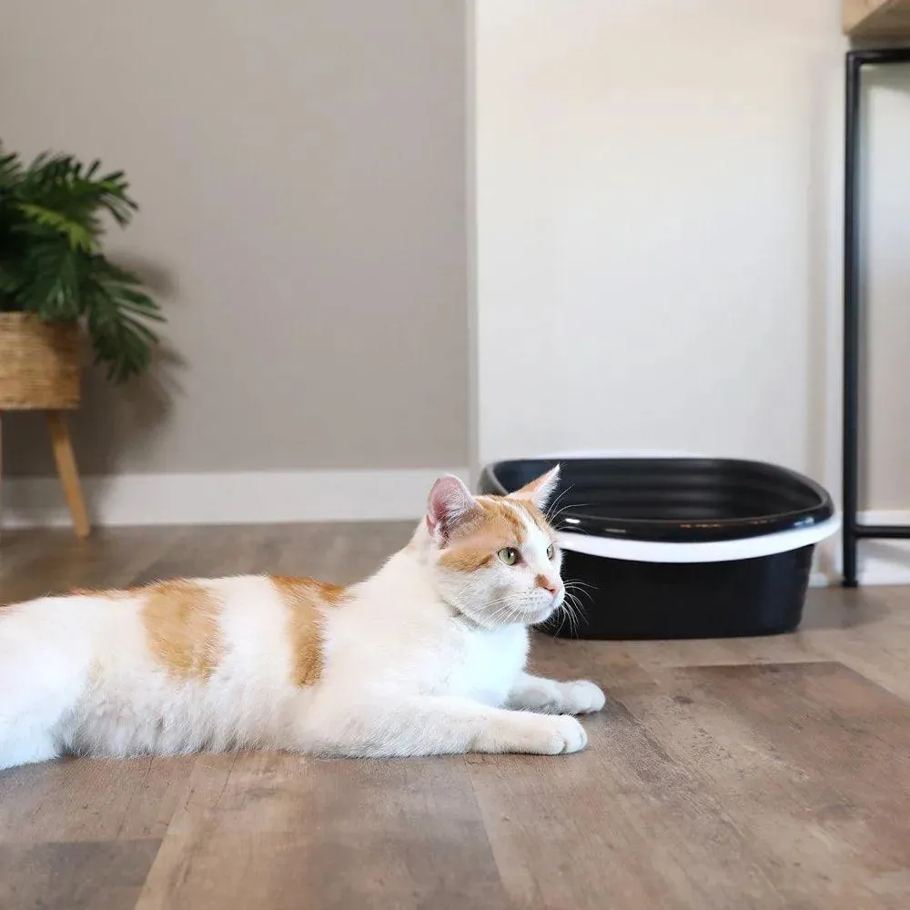 Sifting Cat Litter Box White