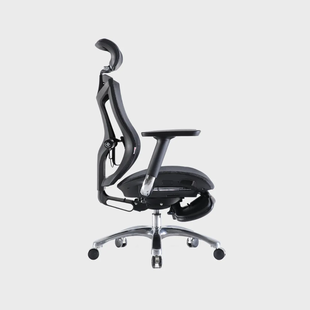 V1 Fully Adjustable Ergonomic Office Chair