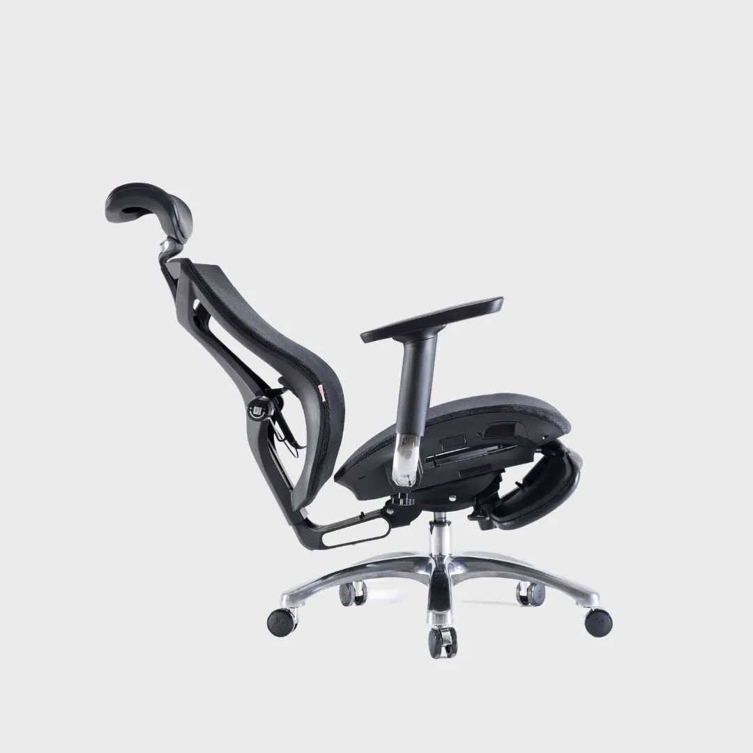 V1 Fully Adjustable Ergonomic Office Chair