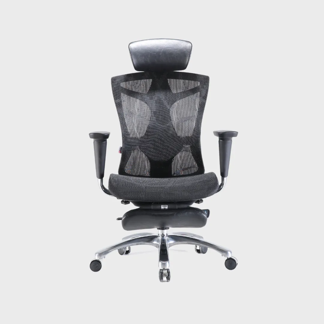 V1 Fully Adjustable Ergonomic Office Chair