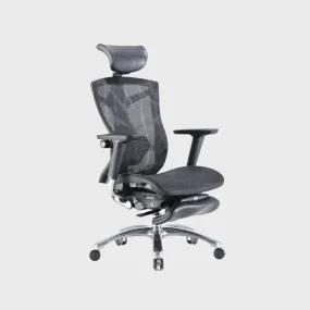 V1 Fully Adjustable Ergonomic Office Chair