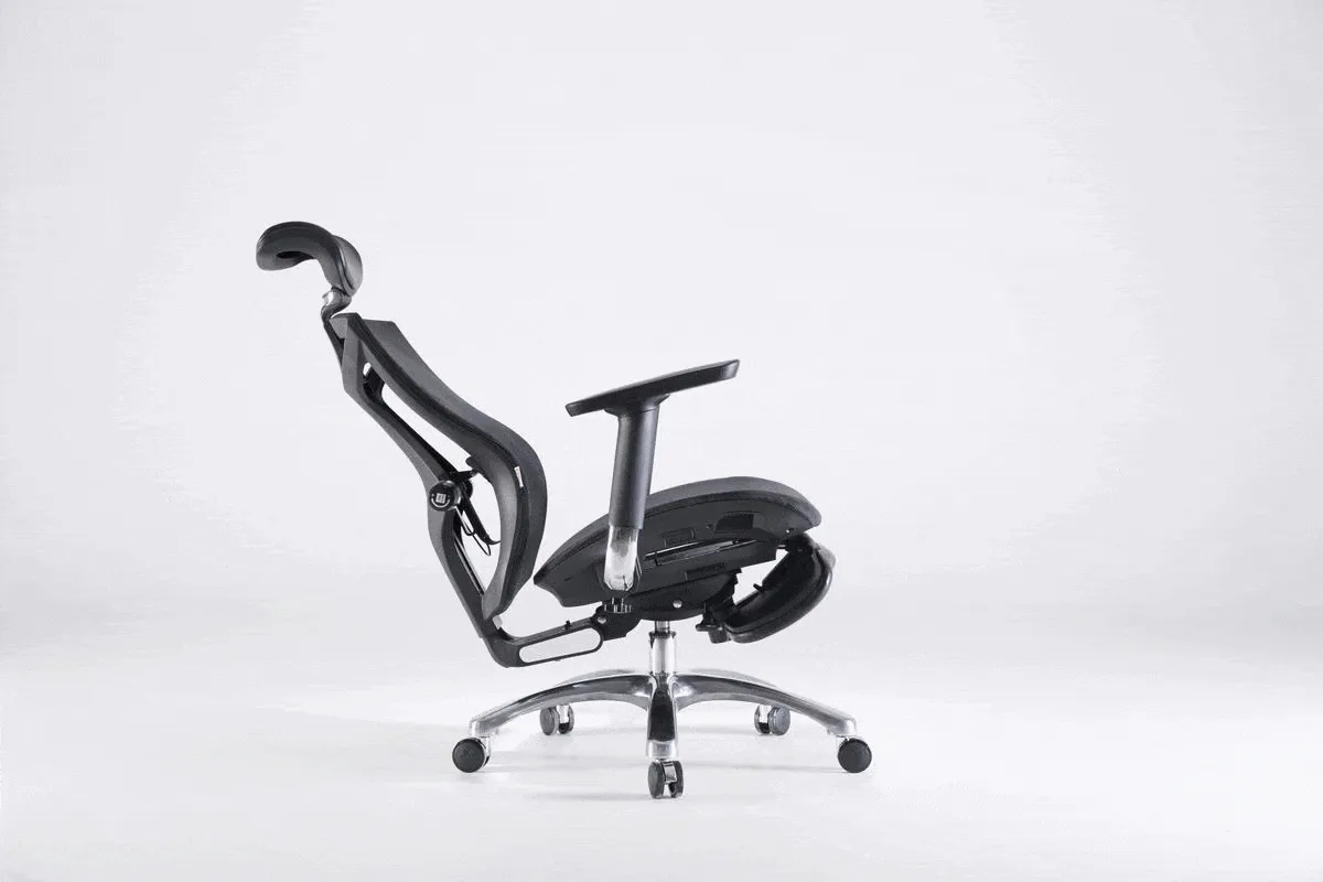 V1 Fully Adjustable Ergonomic Office Chair